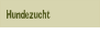 Hundezucht.